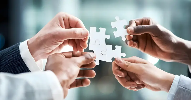 Professional recruitment and talent matching process